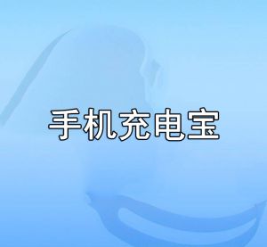 手機充電寶
