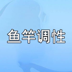 魚竿調(diào)性 魚竿調(diào)性