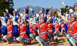 通城拍打 通城拍打