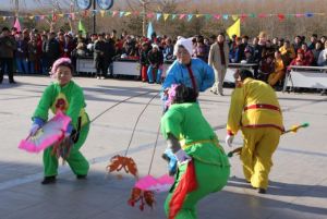 海淀撲蝴蝶 海淀撲蝴蝶