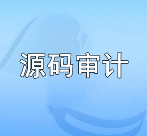 源碼審計(jì) 源碼審計(jì)