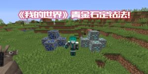 我的世界 我的世界