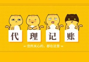 財(cái)務(wù)代理記賬