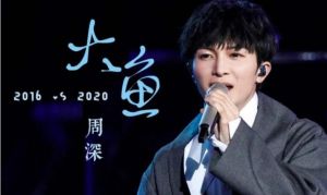周深 周深