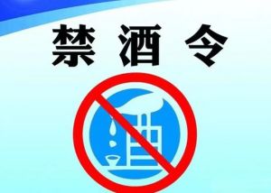 禁酒令 禁酒令