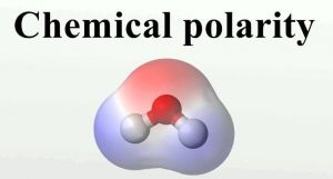 極性分子 極性分子