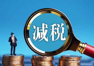 稅收減免 稅收減免