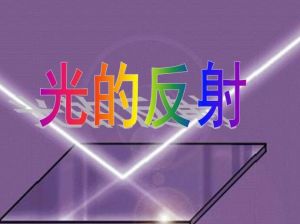光的反射 光的反射