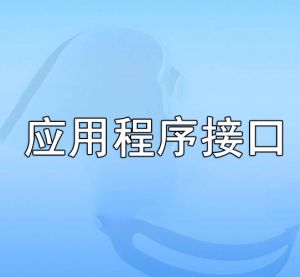 應(yīng)用程序接口 應(yīng)用程序接口