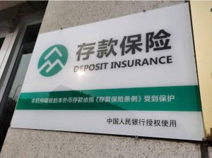 存款保險制度 存款保險制度