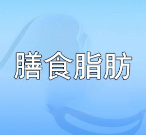 膳食脂肪 膳食脂肪