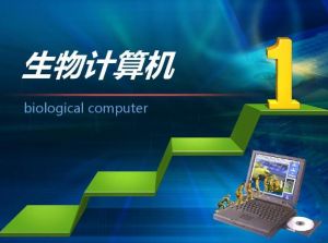 生物計(jì)算機(jī) 生物計(jì)算機(jī)