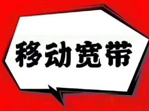 移動(dòng)寬帶 移動(dòng)寬帶