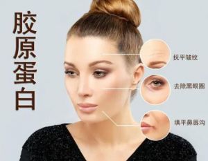 膠原蛋白 膠原蛋白