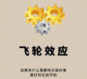 飛輪效應(yīng) 飛輪效應(yīng)