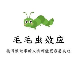 毛毛蟲效應 毛毛蟲效應