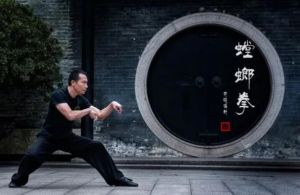 螳螂拳 螳螂拳