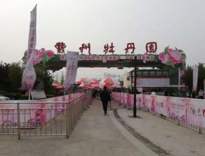 曹州牡丹園 曹州牡丹園