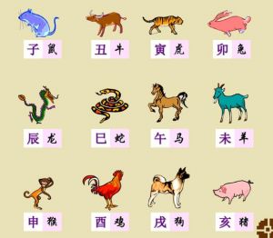 十二生肖 十二生肖