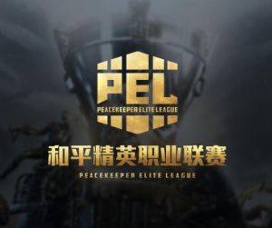 和平精英職業(yè)聯(lián)賽 和平精英職業(yè)聯(lián)賽