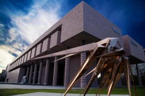 清華大學(xué)藝術(shù)博物館 清華大學(xué)藝術(shù)博物館