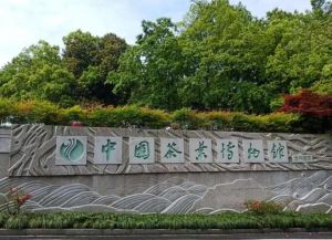 中國茶葉博物館 中國茶葉博物館