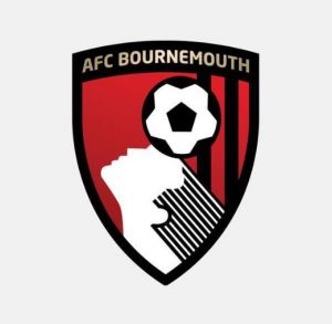 伯恩茅斯足球俱樂部 伯恩茅斯足球俱樂部