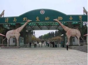 濟(jì)南動(dòng)物園 濟(jì)南動(dòng)物園