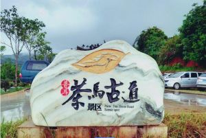 茶馬古道 茶馬古道