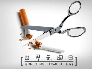 世界無煙日 世界無煙日