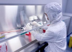 細(xì)胞培養(yǎng) 細(xì)胞培養(yǎng)