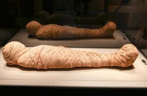 木乃伊 木乃伊