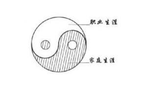 生涯太極理論 生涯太極理論