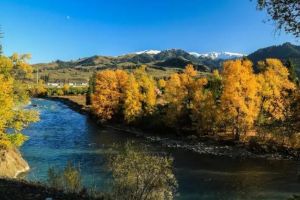 伊犁河谷 伊犁河谷