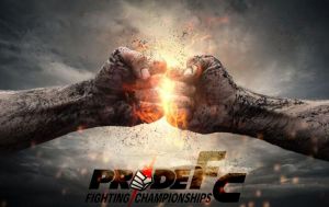 綜合格斗 綜合格斗