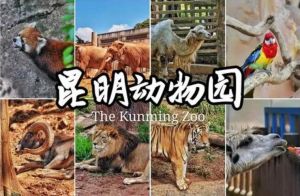 昆明動(dòng)物園 昆明動(dòng)物園