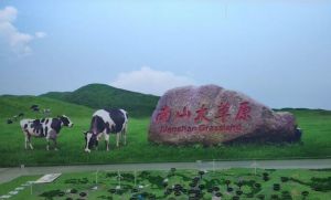 南山牧場(chǎng) 南山牧場(chǎng)