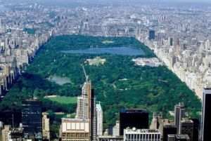 中央公園 中央公園