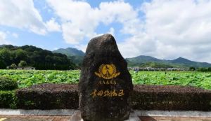 古田旅游區(qū) 古田旅游區(qū)