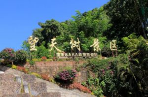 望天樹(shù)風(fēng)景區(qū) 望天樹(shù)風(fēng)景區(qū)