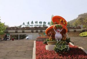 大連森林動物園 大連森林動物園