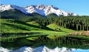 江布拉克 江布拉克