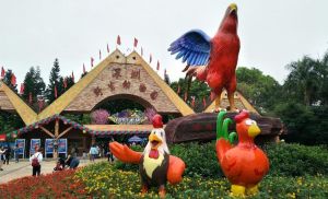 深圳野生動物園