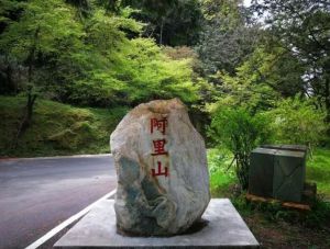 阿里山 阿里山