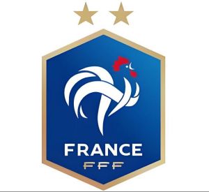 法國國家男子籃球隊 法國國家男子籃球隊