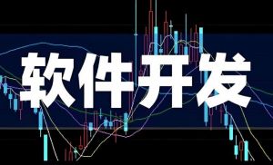 軟件開發(fā) 軟件開發(fā)