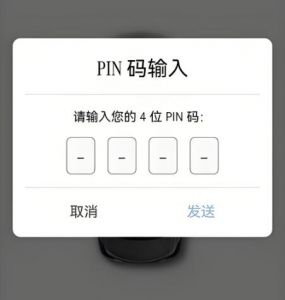 PIN個(gè)人身份識(shí)別碼
