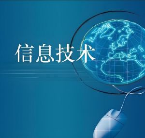 信息技術(shù) 信息技術(shù)