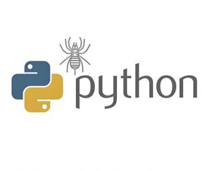 網(wǎng)絡(luò)爬蟲 網(wǎng)絡(luò)爬蟲