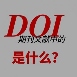 數字對象標識符 數字對象標識符